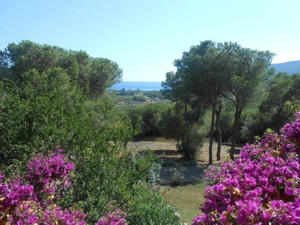 Villa Conti Residence Lacona Eksteriør bilde